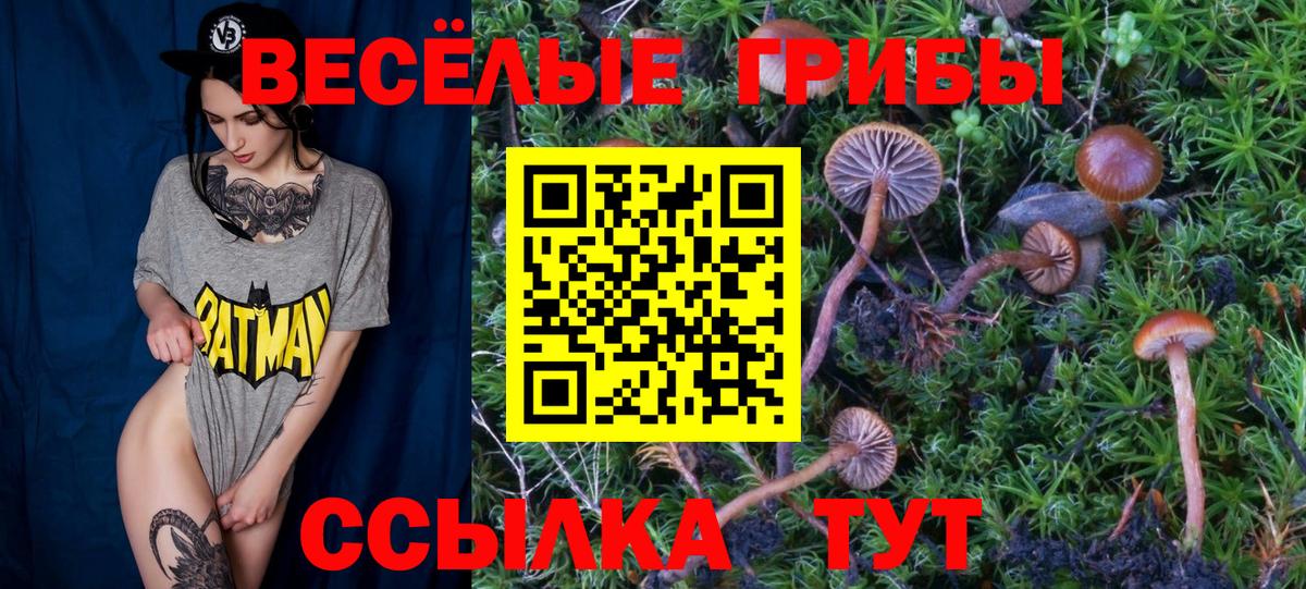 Галлюциногенные грибы ЛСД Чайковский